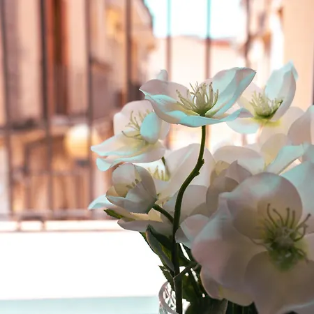 Siclea Lejlighed Scicli