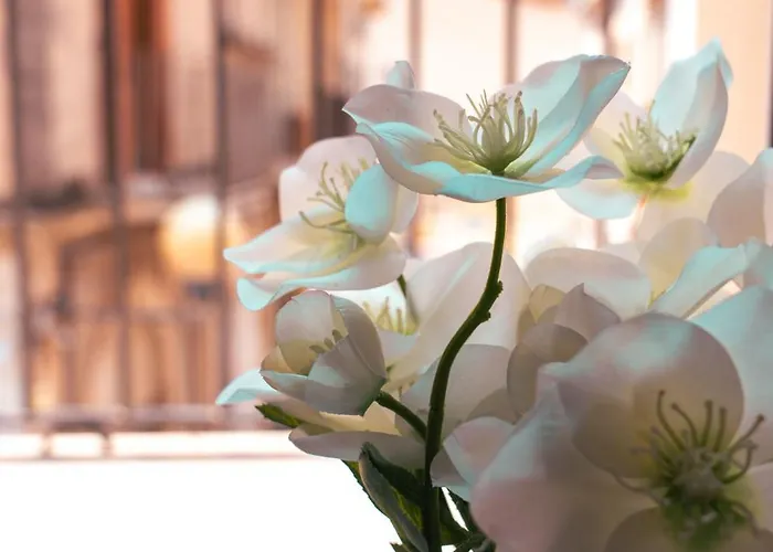 Siclea Lägenhet Scicli